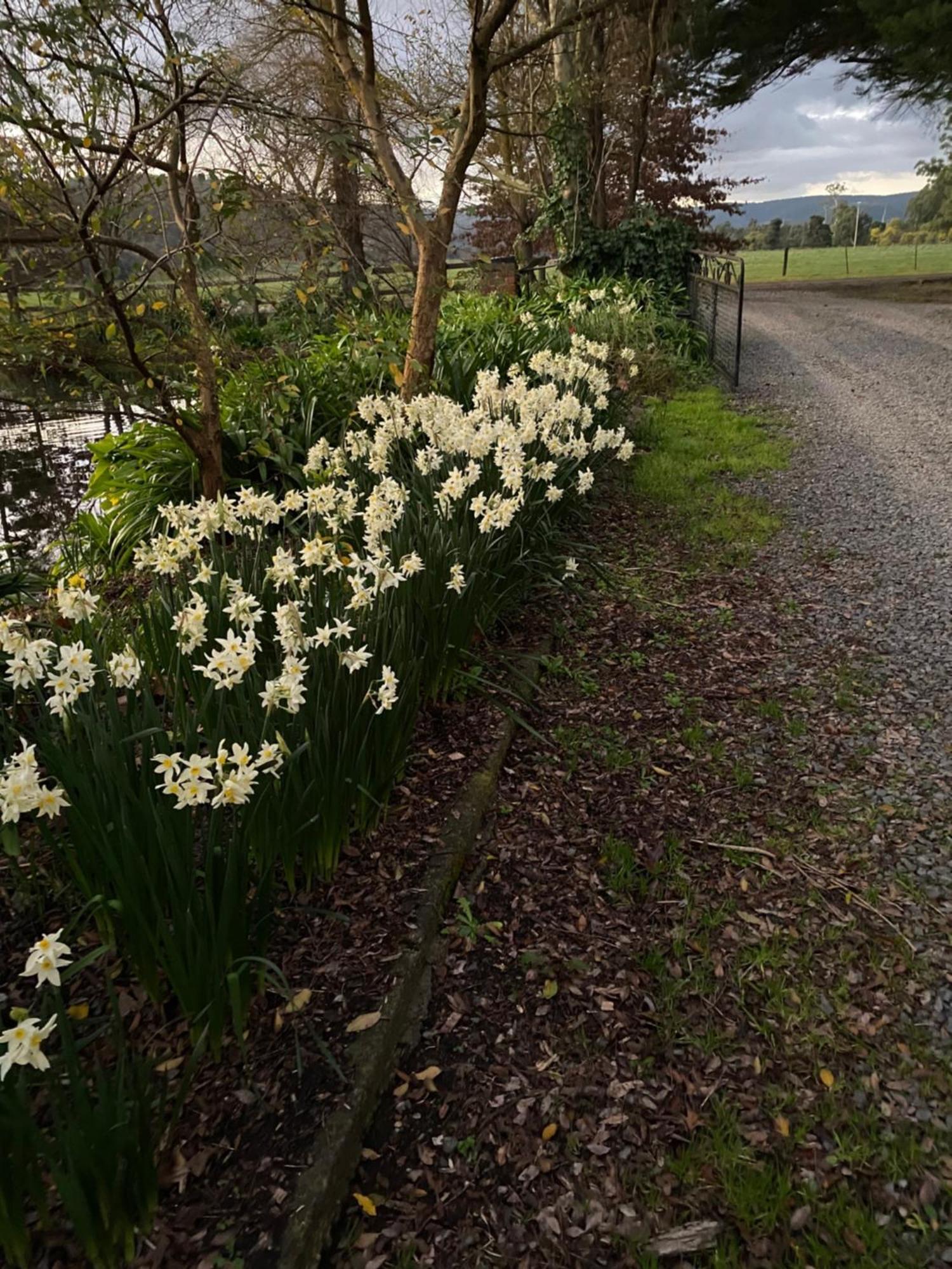 Holly Lane Mews Motel Yarra Glen Eksteriør bilde