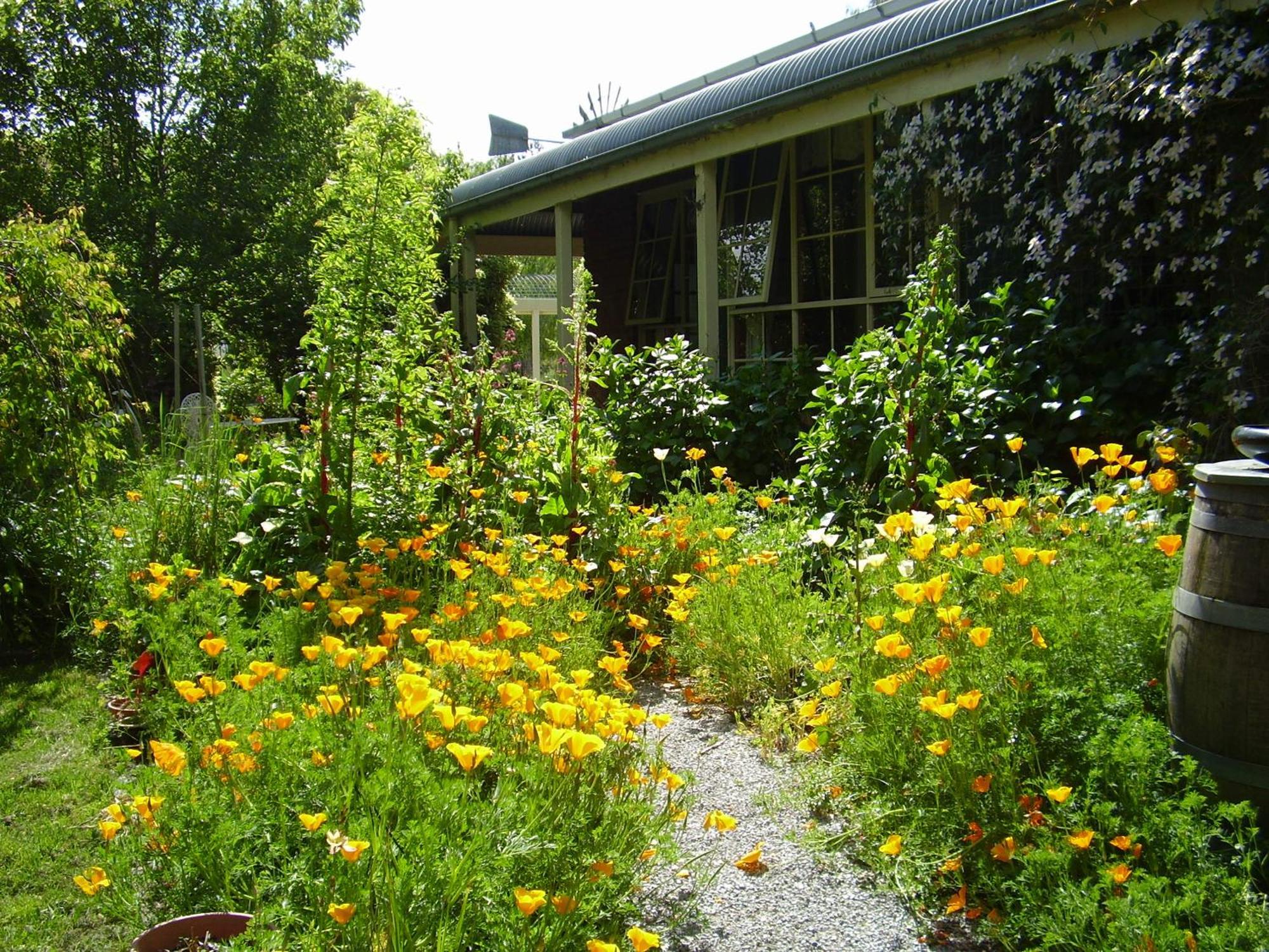 Holly Lane Mews Motel Yarra Glen Eksteriør bilde