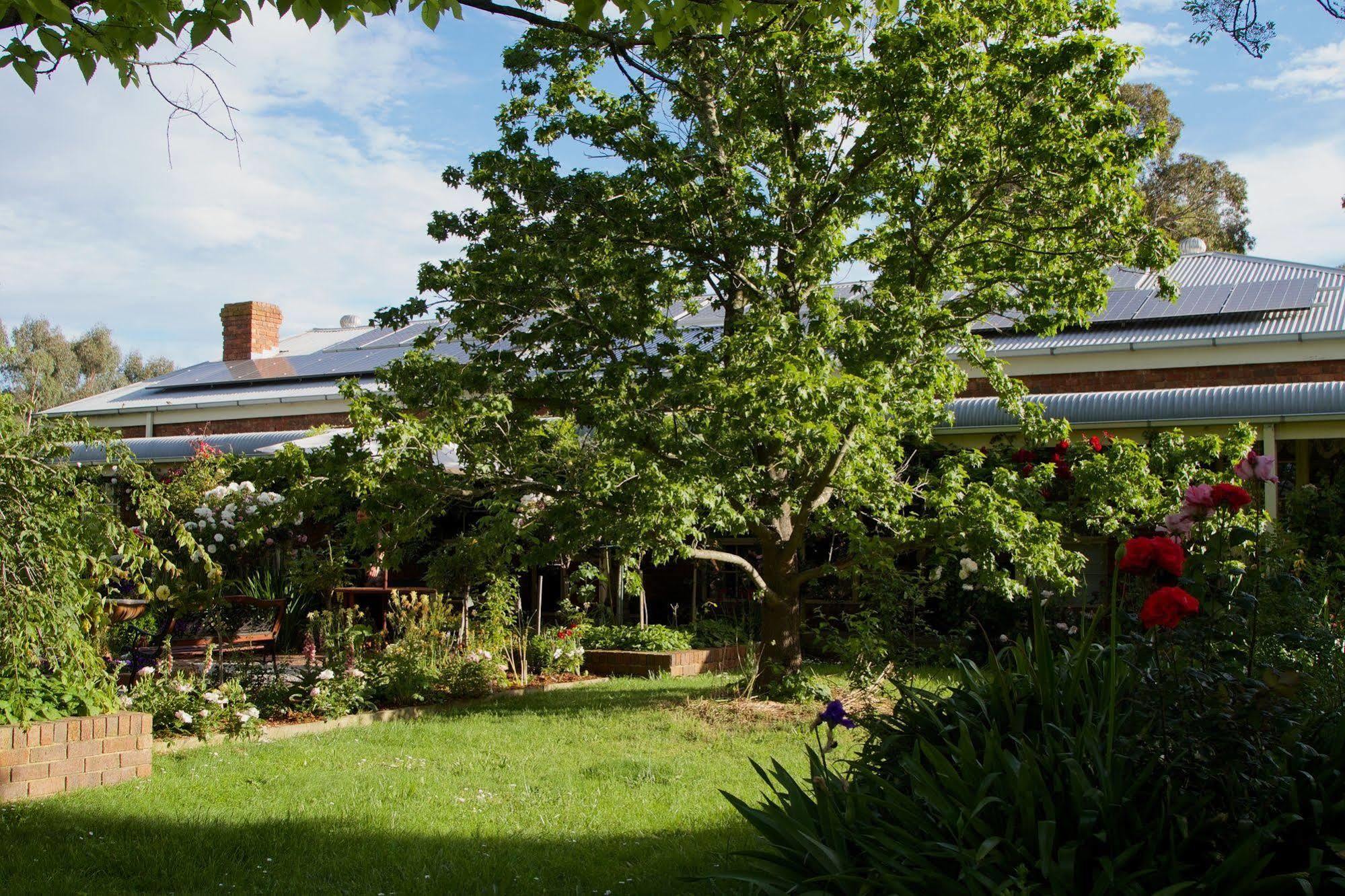 Holly Lane Mews Motel Yarra Glen Eksteriør bilde